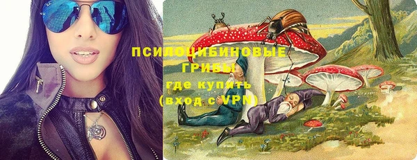 гидра Волоколамск