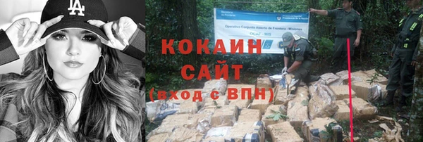 гидра Волоколамск
