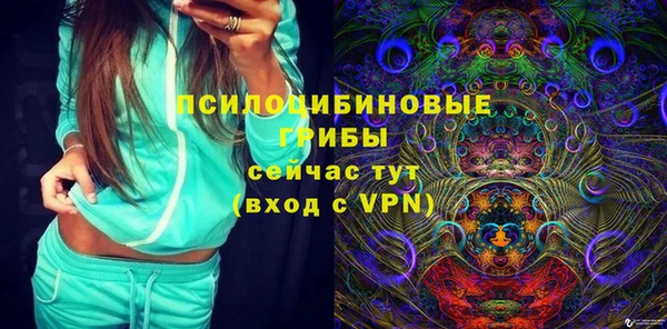 гидра Волоколамск